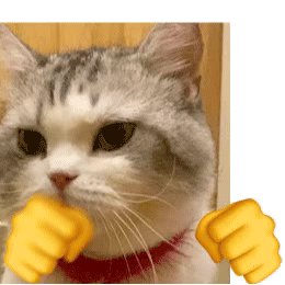 表情包特辑i拳击猫咪申请出战paddlehub制作表情