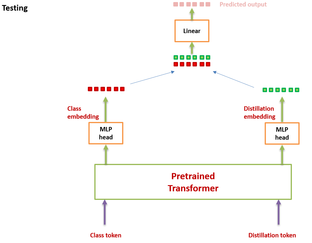 视觉Transformer经典论文——ViT、DeiT的与原理解读与实现_deit网络_L的知识库的博客-CSDN博客