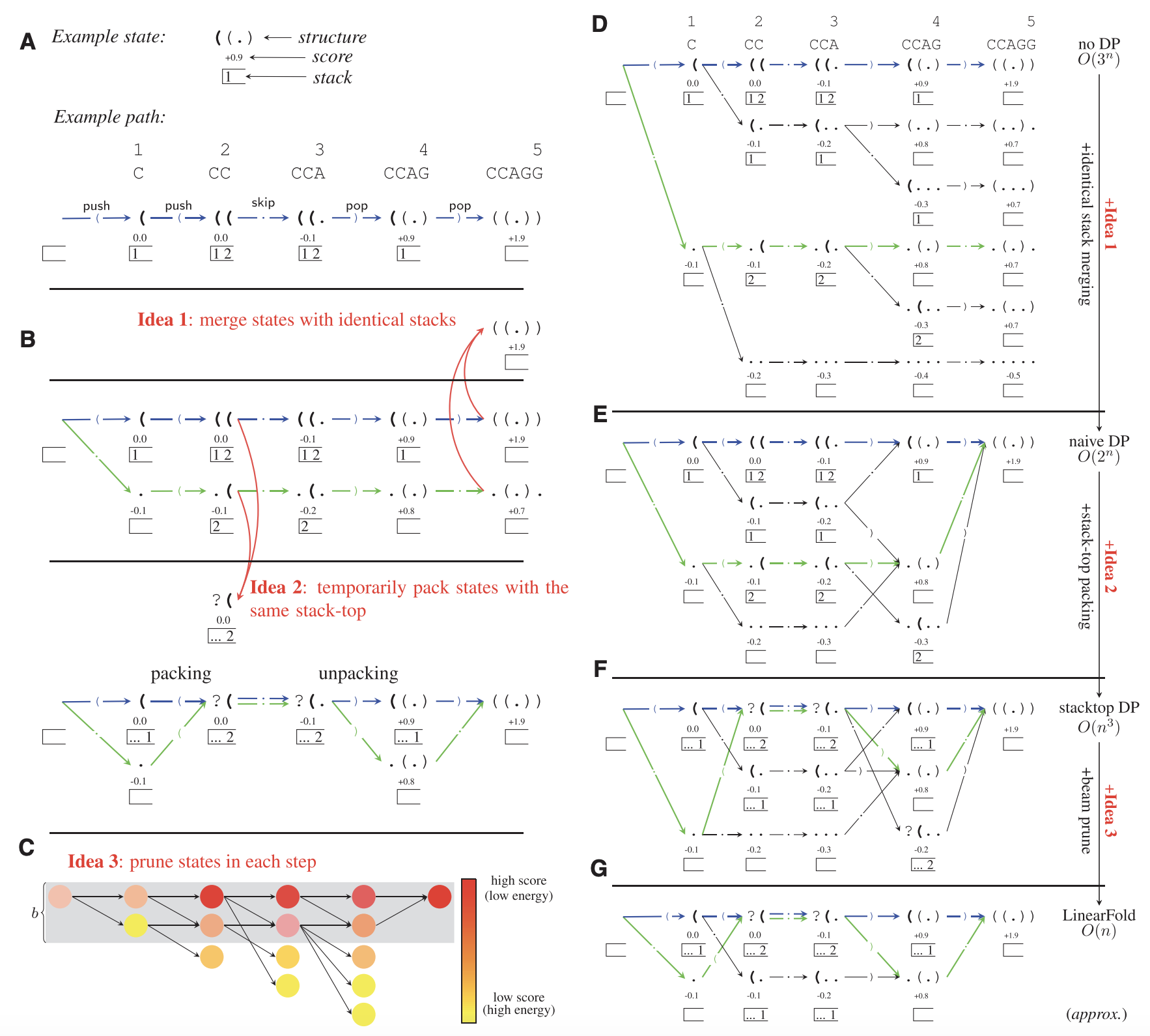 RNA 结构预测算法-LinearFold，可处理10万碱基序列，速度提升百倍 - 飞桨AI Studio星河社区