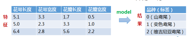 鸢尾花